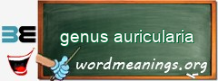 WordMeaning blackboard for genus auricularia